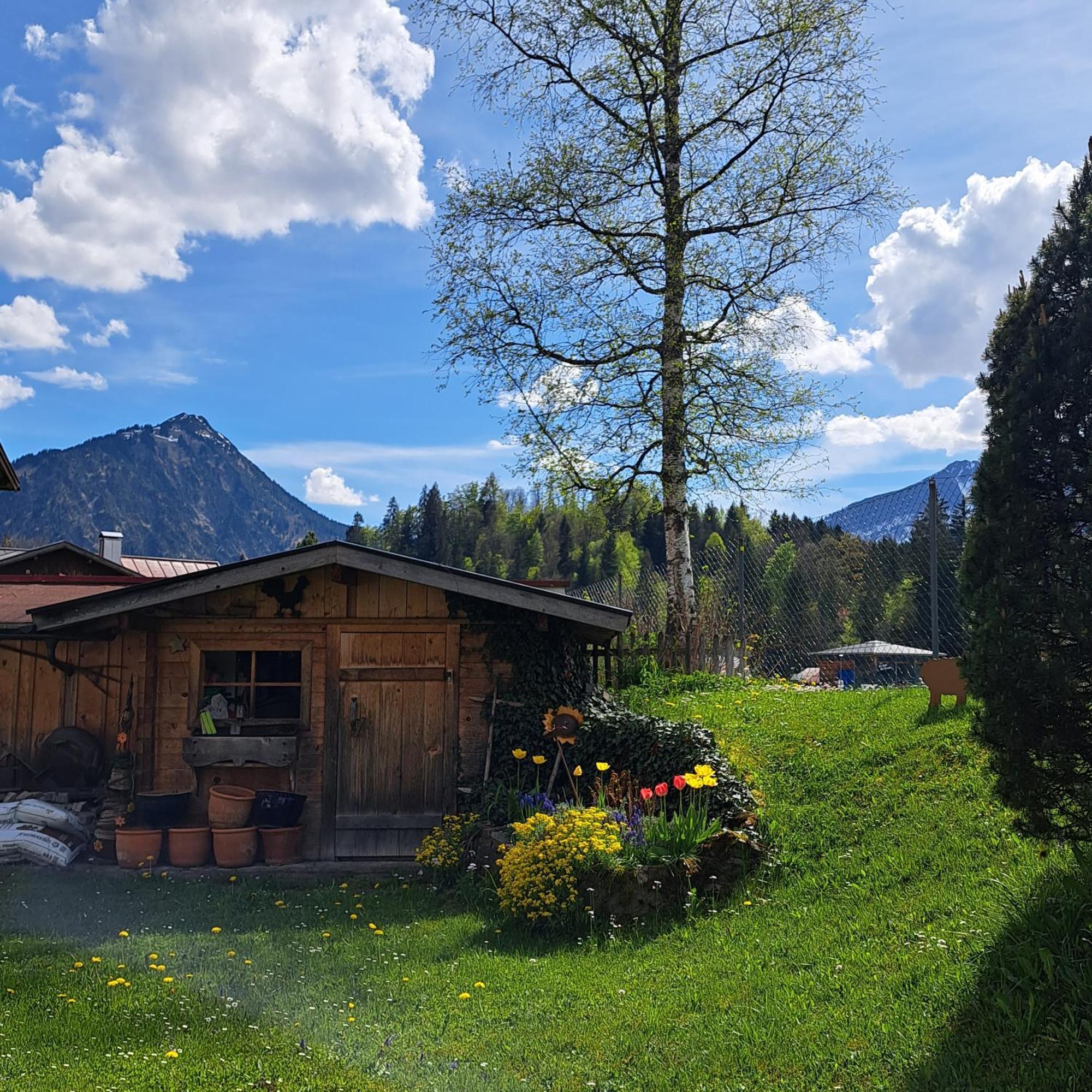 Faltenbach Ferienwohnungen In Oberstdorf Extérieur photo